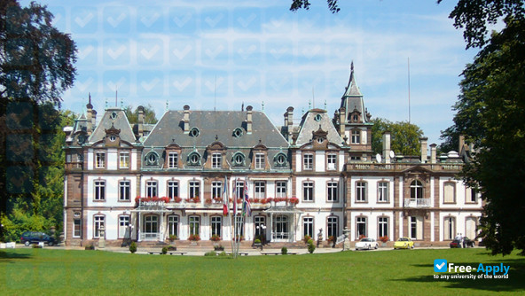 Schiller International University photo #6