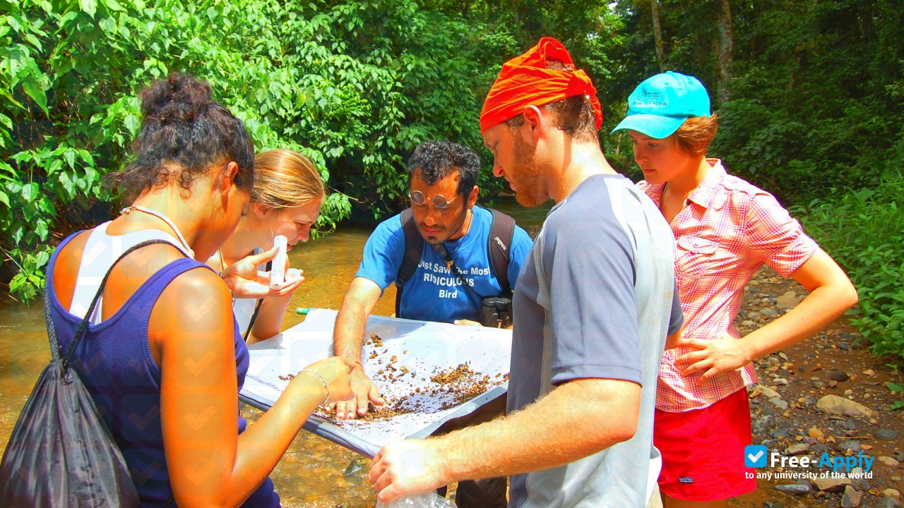 School for Field Studies photo #6