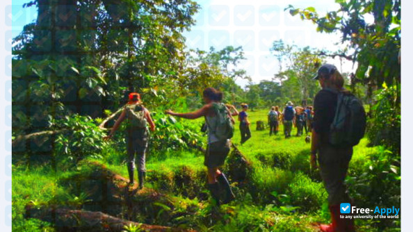 School for Field Studies photo #12