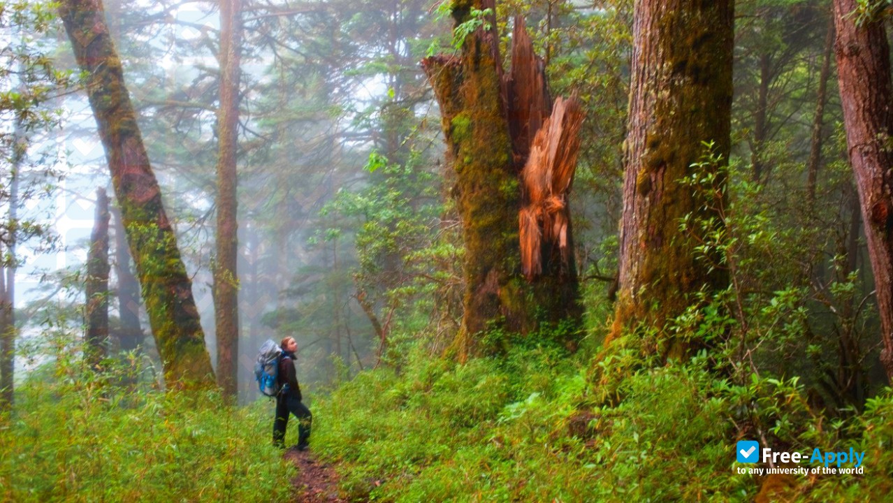 School for Field Studies photo #9