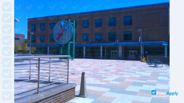 Purchase College - SUNY photo #4