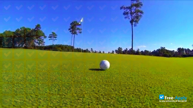 San Diego Golf Academy photo #1