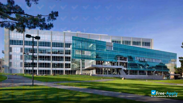 San Francisco State University фотография №4