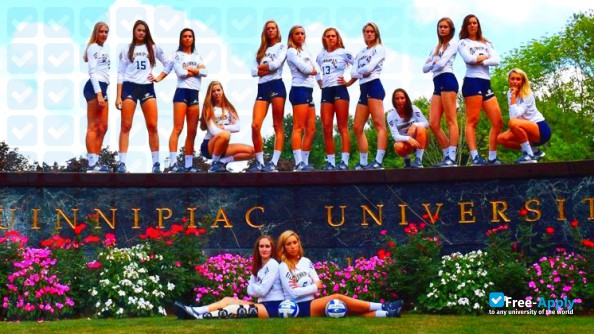 Quinnipiac University photo #4