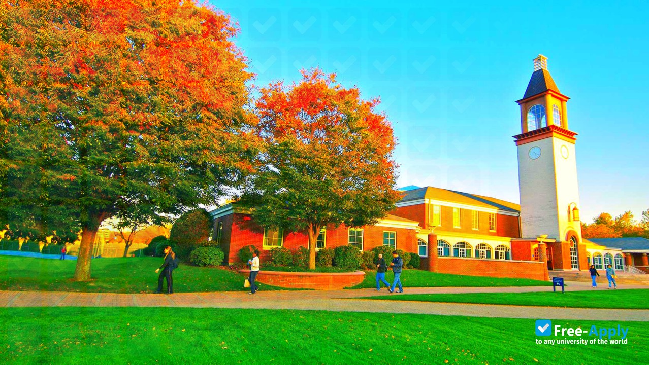 Quinnipiac University photo