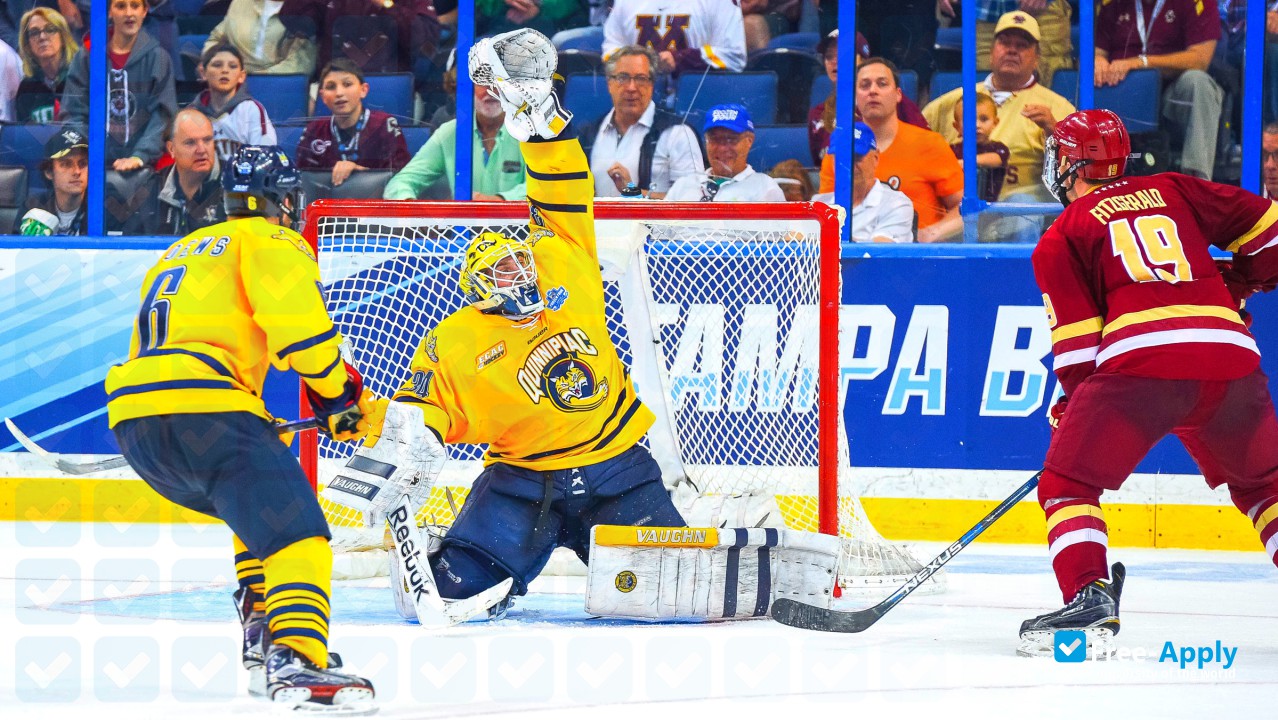 Quinnipiac University photo #7