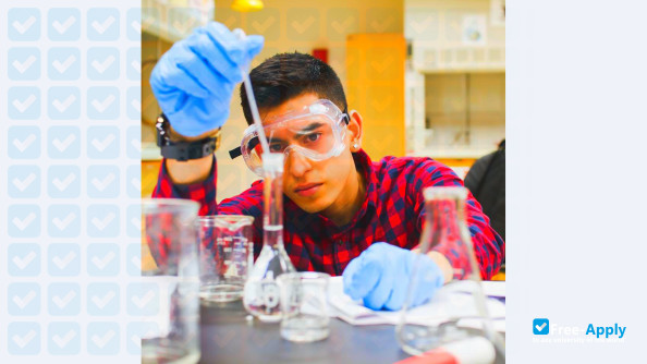 North Hennepin Community College photo #8