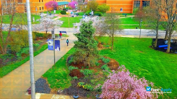 Foto de la Southwestern Illinois College #17