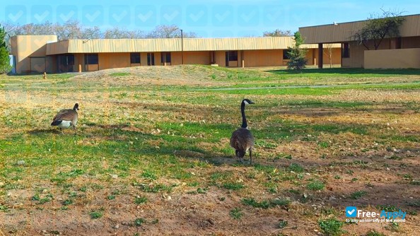 Photo de l’Southwestern Indian Polytechnic Institute #11