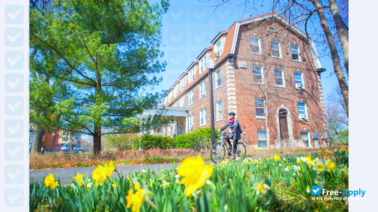 North Park University фотография №7