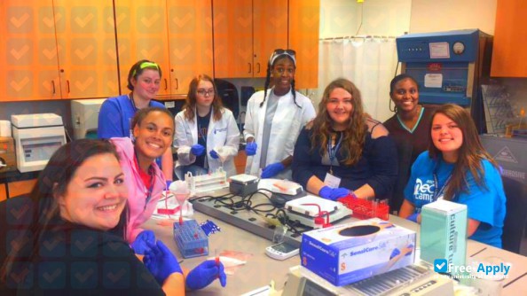 Foto de la Spencerian College #4