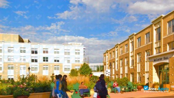 Saint Xavier University photo #7