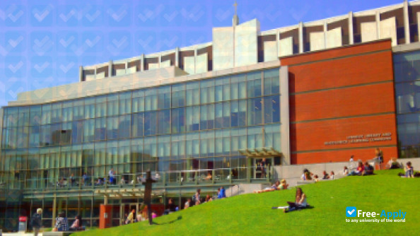 SEH College of Nursing photo #17