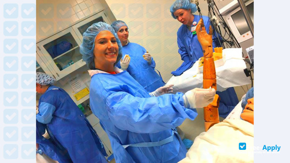 SEH College of Nursing photo #6