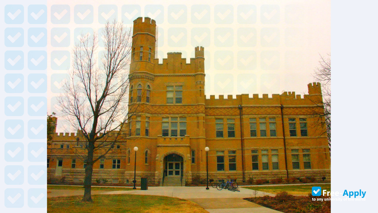 Southern Illinois University photo #7