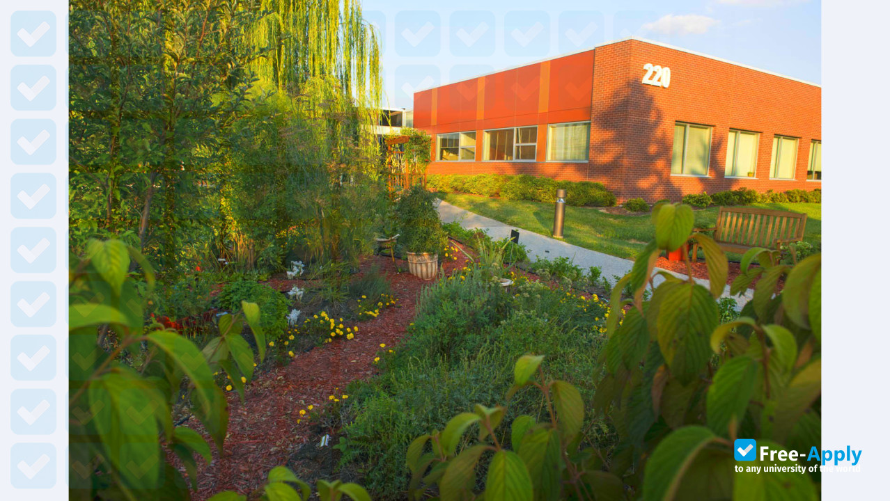 Southern Illinois University Edwardsville photo #6