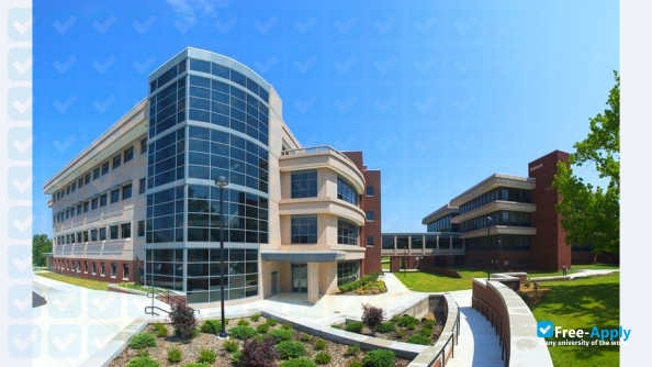 Southern Illinois University Edwardsville photo #9