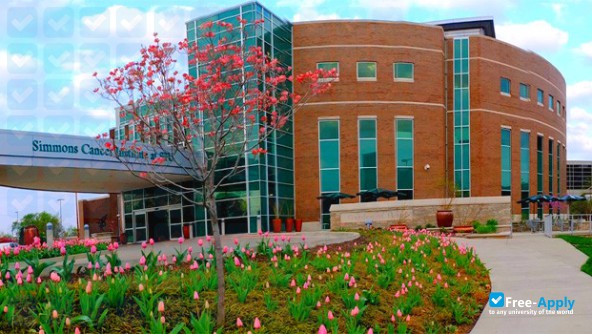 Southern Illinois University School of Medicine фотография №3