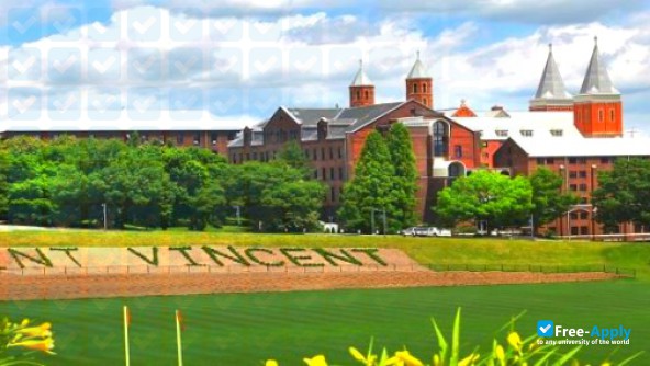 Saint Vincent's College photo #8