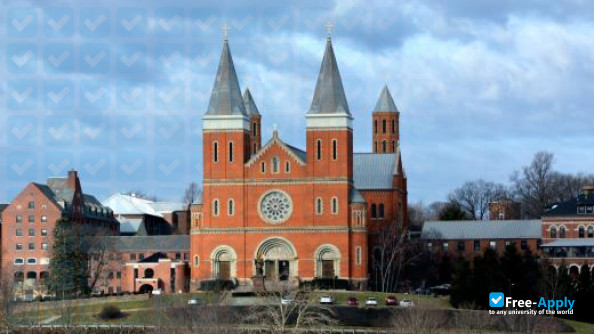 Saint Vincent's College photo