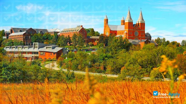 Saint Vincent's College photo #5
