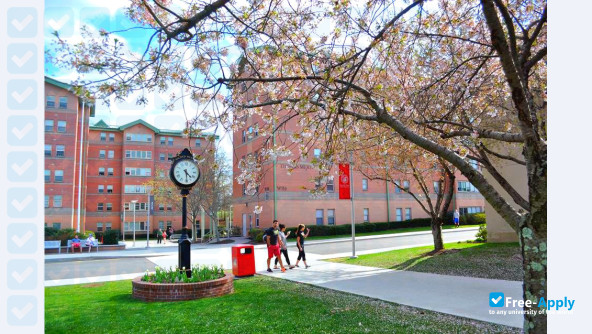 Sacred Heart University photo #3