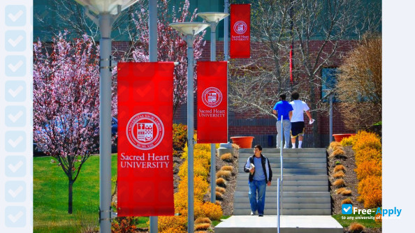 Sacred Heart University photo #6