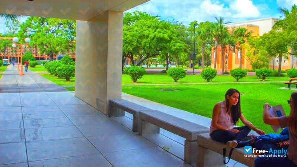 Foto de la Saint Thomas University #3