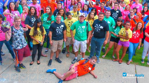 The Sage Colleges photo #5