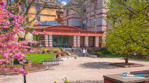 The Sage Colleges photo