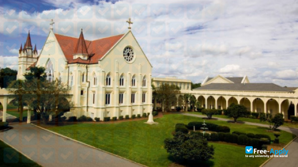 Spring Hill College photo #2