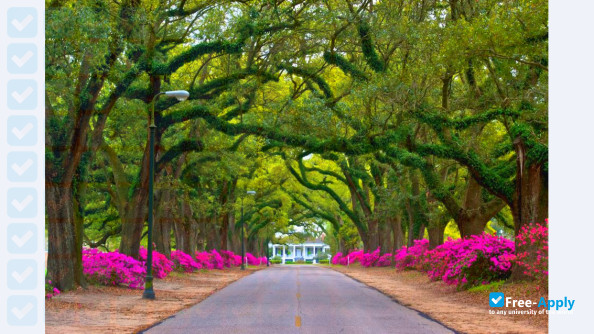 Spring Hill College photo #5