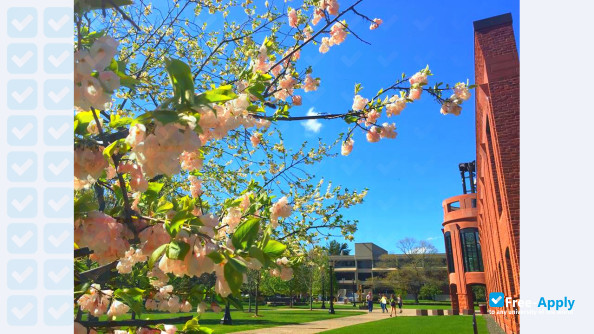 Springfield College photo #6