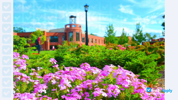Springfield College photo