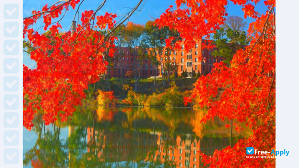 Springfield College photo #4