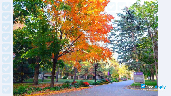 St Catherine University photo #1