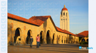 Stanford University vignette #8
