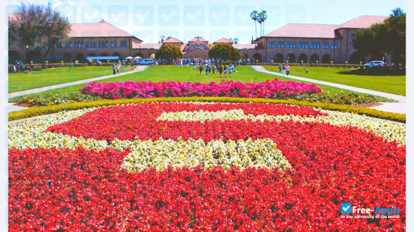 Foto de la Stanford University #7