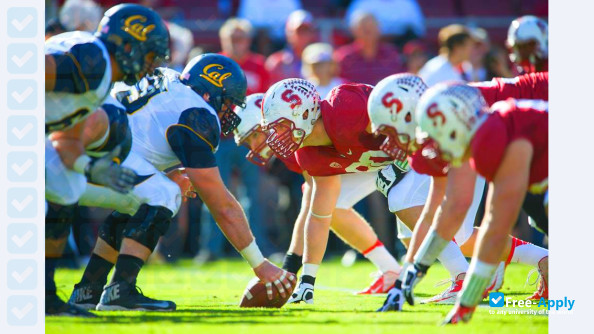 Foto de la Stanford University #4