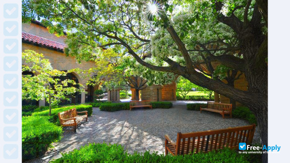 Foto de la Stanford University #8