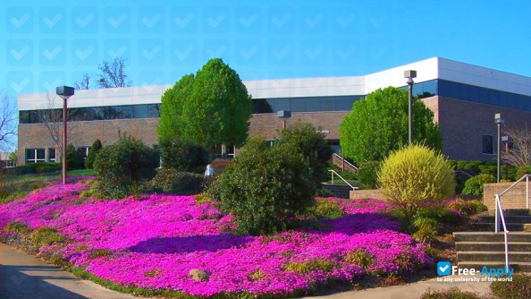 Stanly Community College photo #7