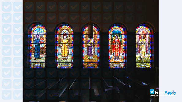 Saint Basil Seminary photo #7