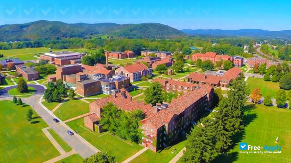 Foto de la St. Bonaventure University #3