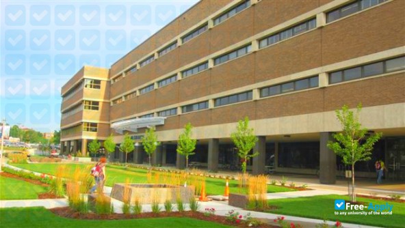 Saint Paul Community and Technical College photo #4