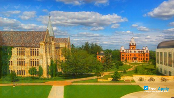 Saint Olaf College photo #6