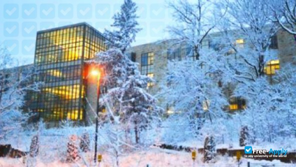 Saint Olaf College photo #4