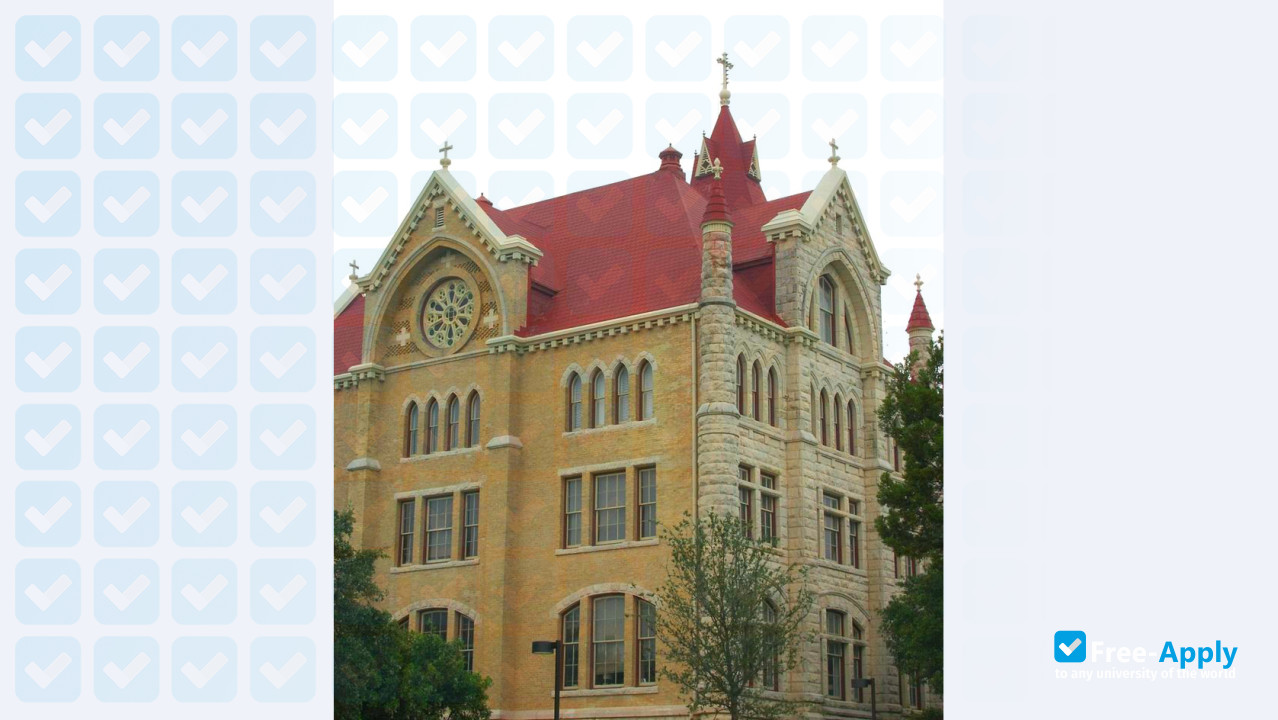 Photo de l’St. Edward's University #4