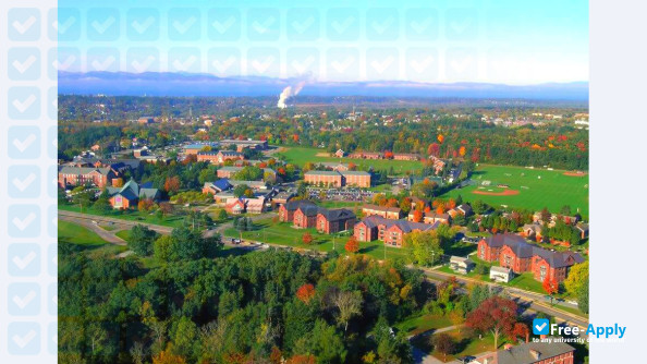 Foto de la Saint Michael's College #1