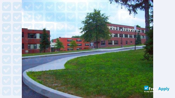Foto de la Saint Francis University #7