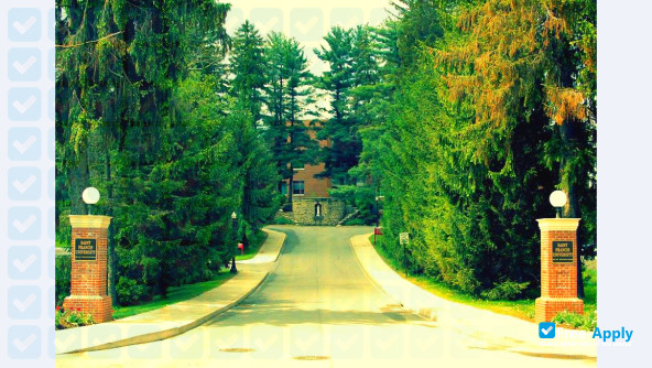 Foto de la Saint Francis University #10
